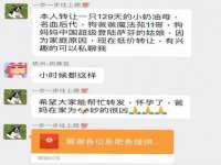 上海而萨而网络科技有限公司