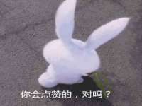 上海而萨而网络科技有限公司
