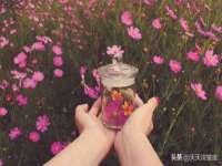 上海而萨而网络科技有限公司